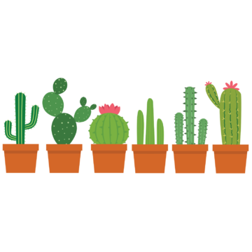 Herbruikbare statische raamsticker - Cactussen