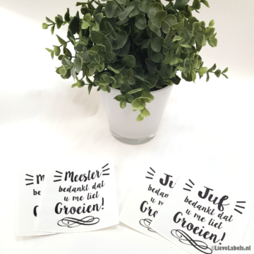 Bloempot sticker - Bedankt dat u me liet groeien