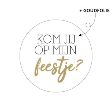 Stickers - Kom je op mijn feestje? | 10 stuks