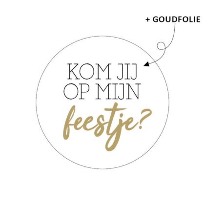 Stickers - Kom je op mijn feestje? | 10 stuks