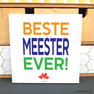 Tegeltje - Beste meester